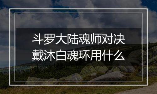 斗罗大陆魂师对决戴沐白魂环用什么