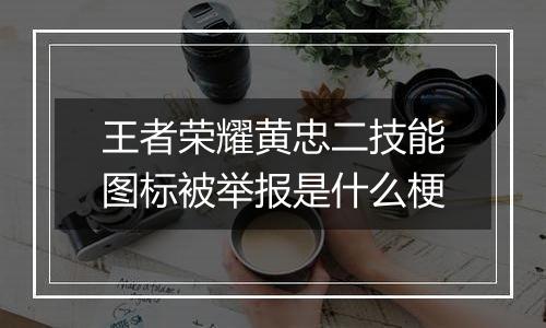王者荣耀黄忠二技能图标被举报是什么梗