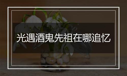 光遇酒鬼先祖在哪追忆