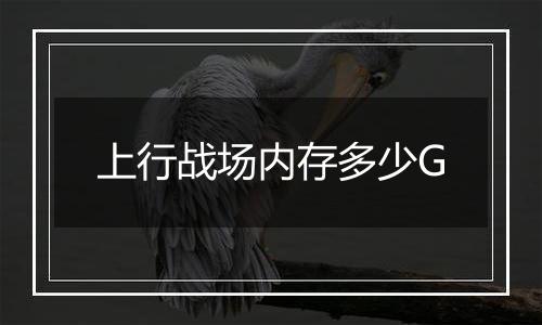 上行战场内存多少G