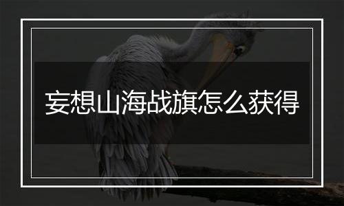 妄想山海战旗怎么获得