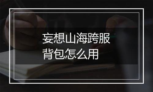 妄想山海跨服背包怎么用