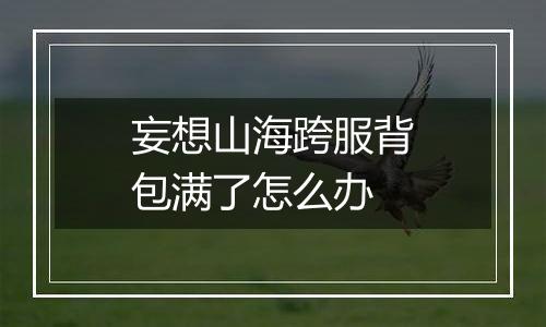 妄想山海跨服背包满了怎么办