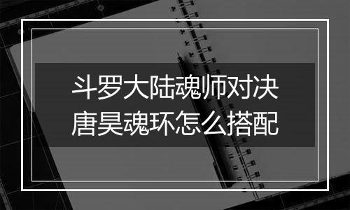 斗罗大陆魂师对决唐昊魂环怎么搭配