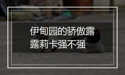 伊甸园的骄傲露露莉卡强不强