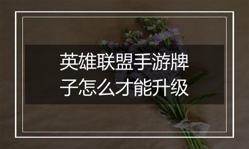 英雄联盟手游牌子怎么才能升级