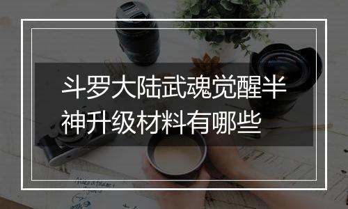 斗罗大陆武魂觉醒半神升级材料有哪些