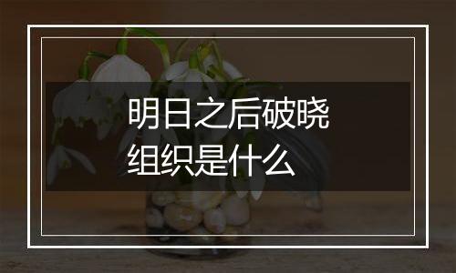 明日之后破晓组织是什么