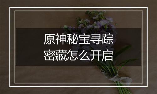 原神秘宝寻踪密藏怎么开启