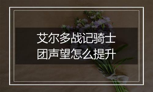 艾尔多战记骑士团声望怎么提升