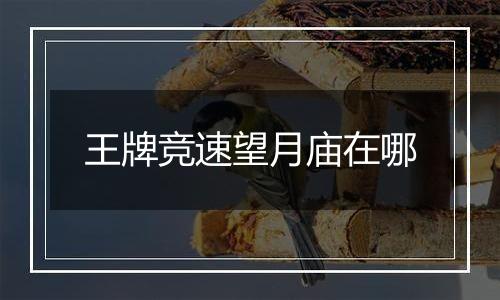 王牌竞速望月庙在哪