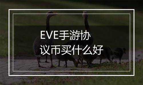 EVE手游协议币买什么好