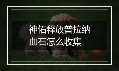 神佑释放普拉纳血石怎么收集