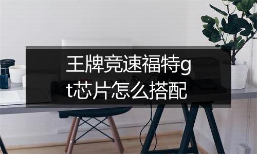 王牌竞速福特gt芯片怎么搭配