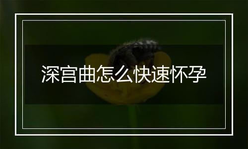 深宫曲怎么快速怀孕