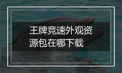 王牌竞速外观资源包在哪下载
