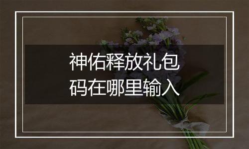 神佑释放礼包码在哪里输入