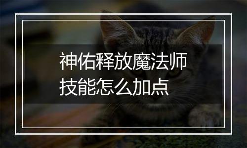 神佑释放魔法师技能怎么加点