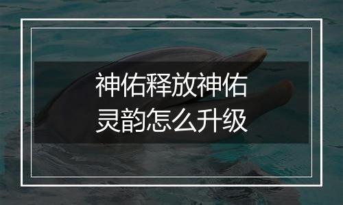 神佑释放神佑灵韵怎么升级