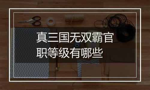 真三国无双霸官职等级有哪些