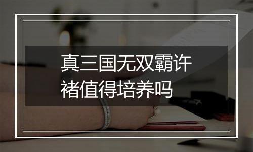 真三国无双霸许褚值得培养吗