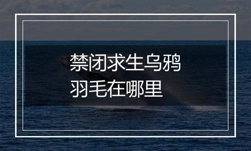 禁闭求生乌鸦羽毛在哪里