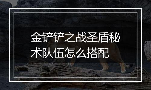 金铲铲之战圣盾秘术队伍怎么搭配