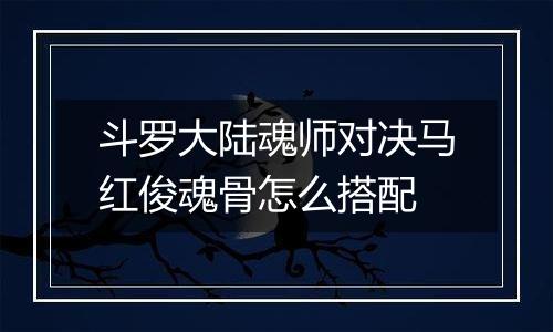 斗罗大陆魂师对决马红俊魂骨怎么搭配