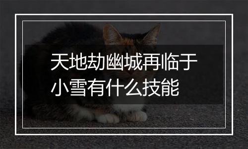 天地劫幽城再临于小雪有什么技能