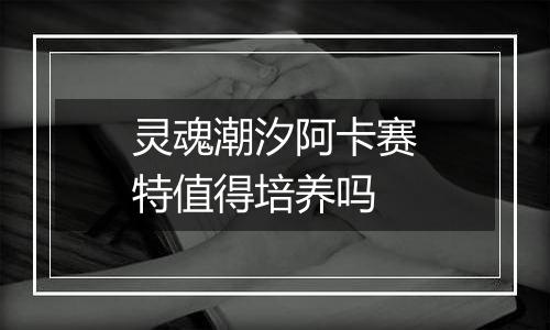 灵魂潮汐阿卡赛特值得培养吗