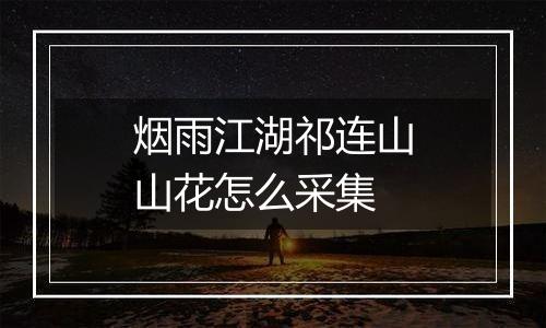 烟雨江湖祁连山山花怎么采集