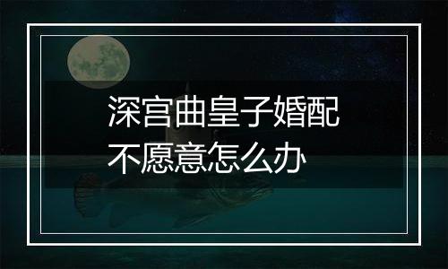 深宫曲皇子婚配不愿意怎么办
