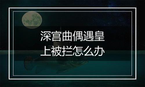 深宫曲偶遇皇上被拦怎么办