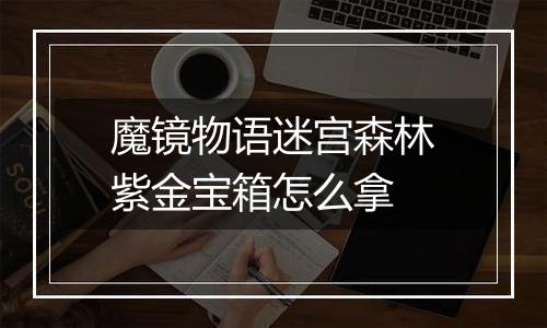 魔镜物语迷宫森林紫金宝箱怎么拿