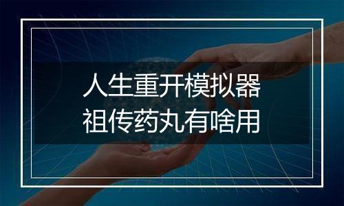 人生重开模拟器祖传药丸有啥用