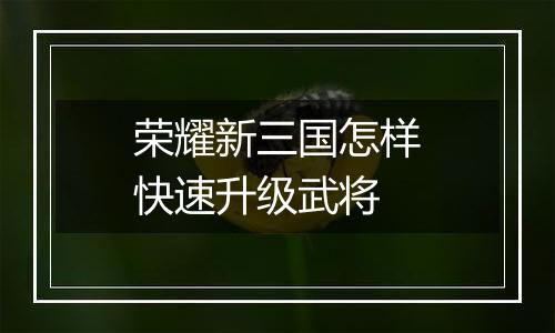 荣耀新三国怎样快速升级武将