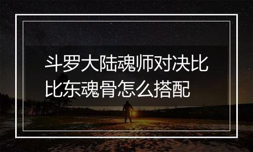 斗罗大陆魂师对决比比东魂骨怎么搭配