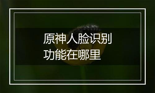 原神人脸识别功能在哪里