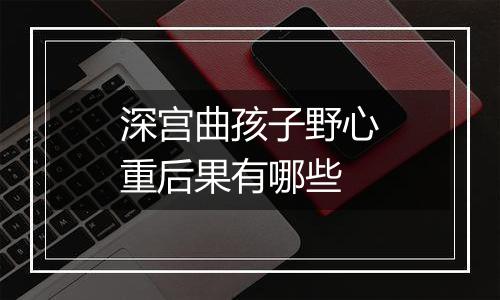 深宫曲孩子野心重后果有哪些