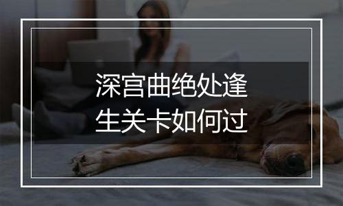 深宫曲绝处逢生关卡如何过