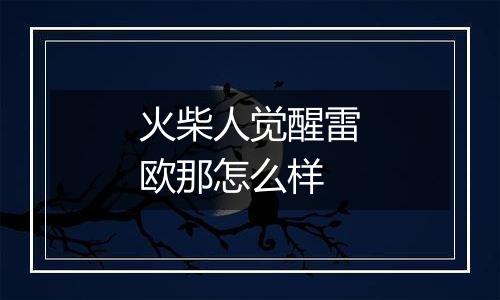 火柴人觉醒雷欧那怎么样