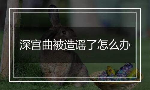 深宫曲被造谣了怎么办