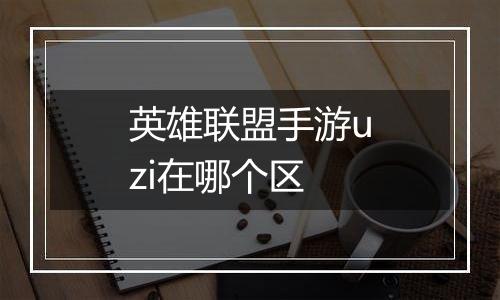 英雄联盟手游uzi在哪个区