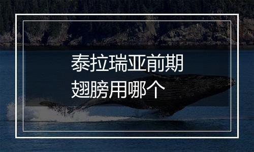 泰拉瑞亚前期翅膀用哪个