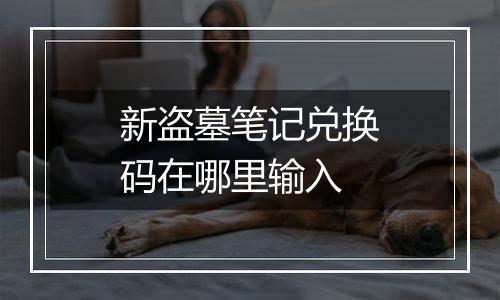 新盗墓笔记兑换码在哪里输入