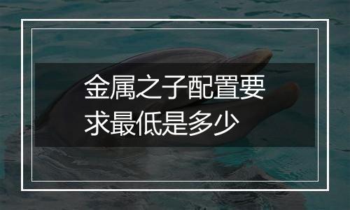 金属之子配置要求最低是多少