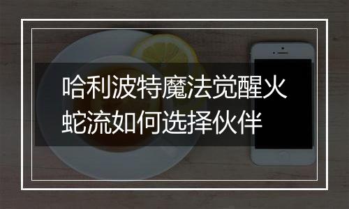 哈利波特魔法觉醒火蛇流如何选择伙伴