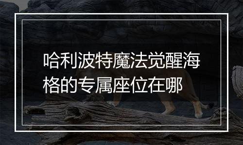哈利波特魔法觉醒海格的专属座位在哪
