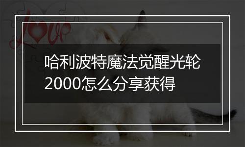 哈利波特魔法觉醒光轮2000怎么分享获得