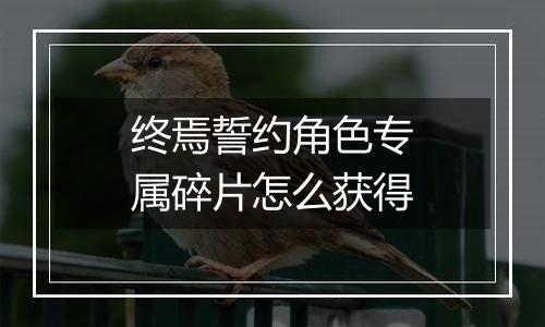 终焉誓约角色专属碎片怎么获得